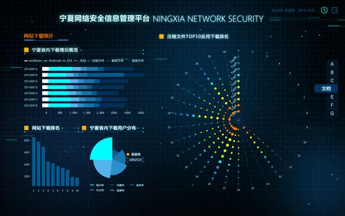 思图可视化项目,宁夏网络安全信息管理平台,负责数据可视化系统的